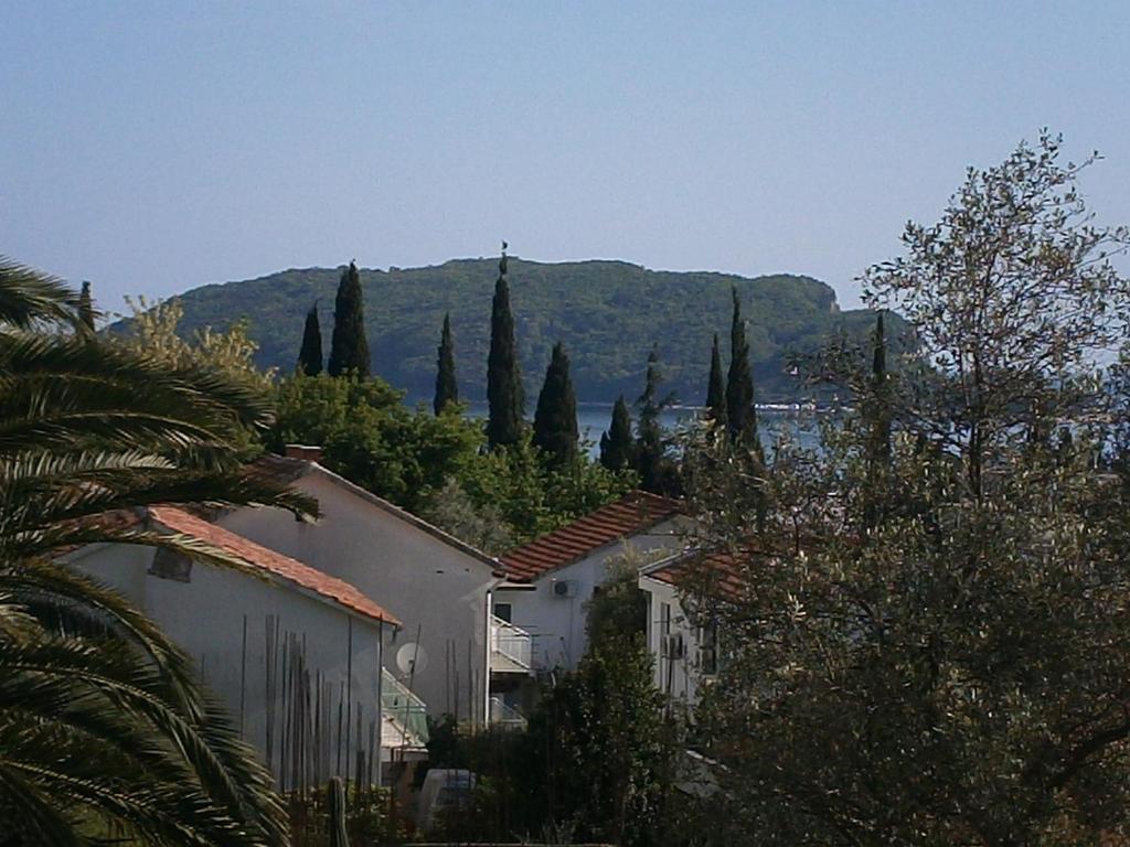 Mijovic Apartments Budva Habitación foto